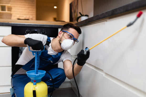 Best Pest Inspection Near Me  in Tipton, MO