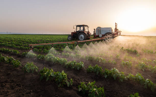 Best Commercial Pest Control Services  in Tipton, MO