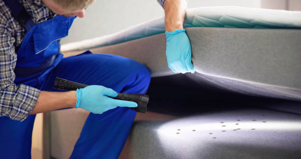Best Pest Removal Services  in Tipton, MO