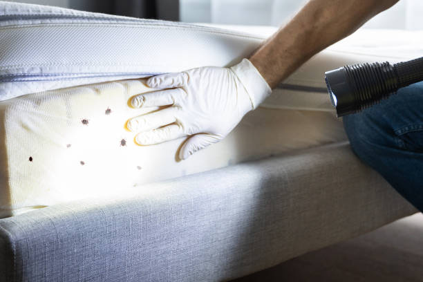 Best Wildlife Control Services  in Tipton, MO